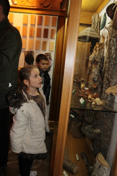 Wycieczka do Podzamcza